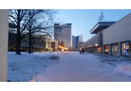 Снег в городе Вильнюс